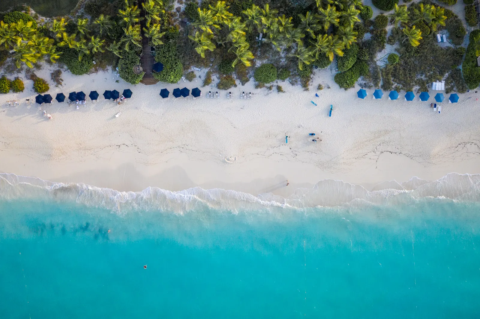 Blue umbrellas along a white beach under palms, turquoise water in front, seen from straight above